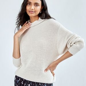Aritzia Wilfred Montpellier sweater